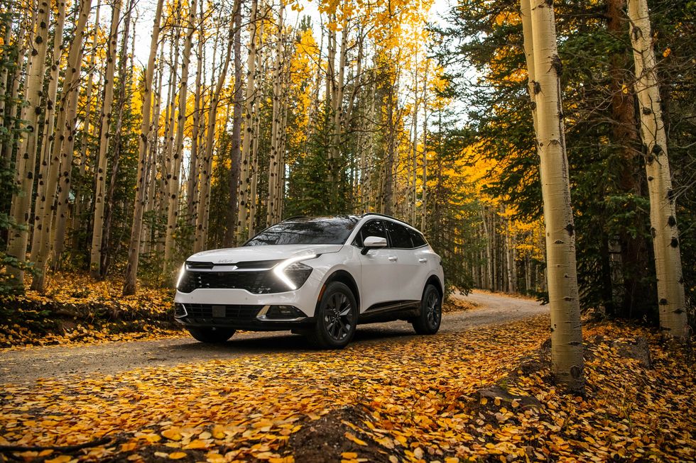 2024 Kia Sportage