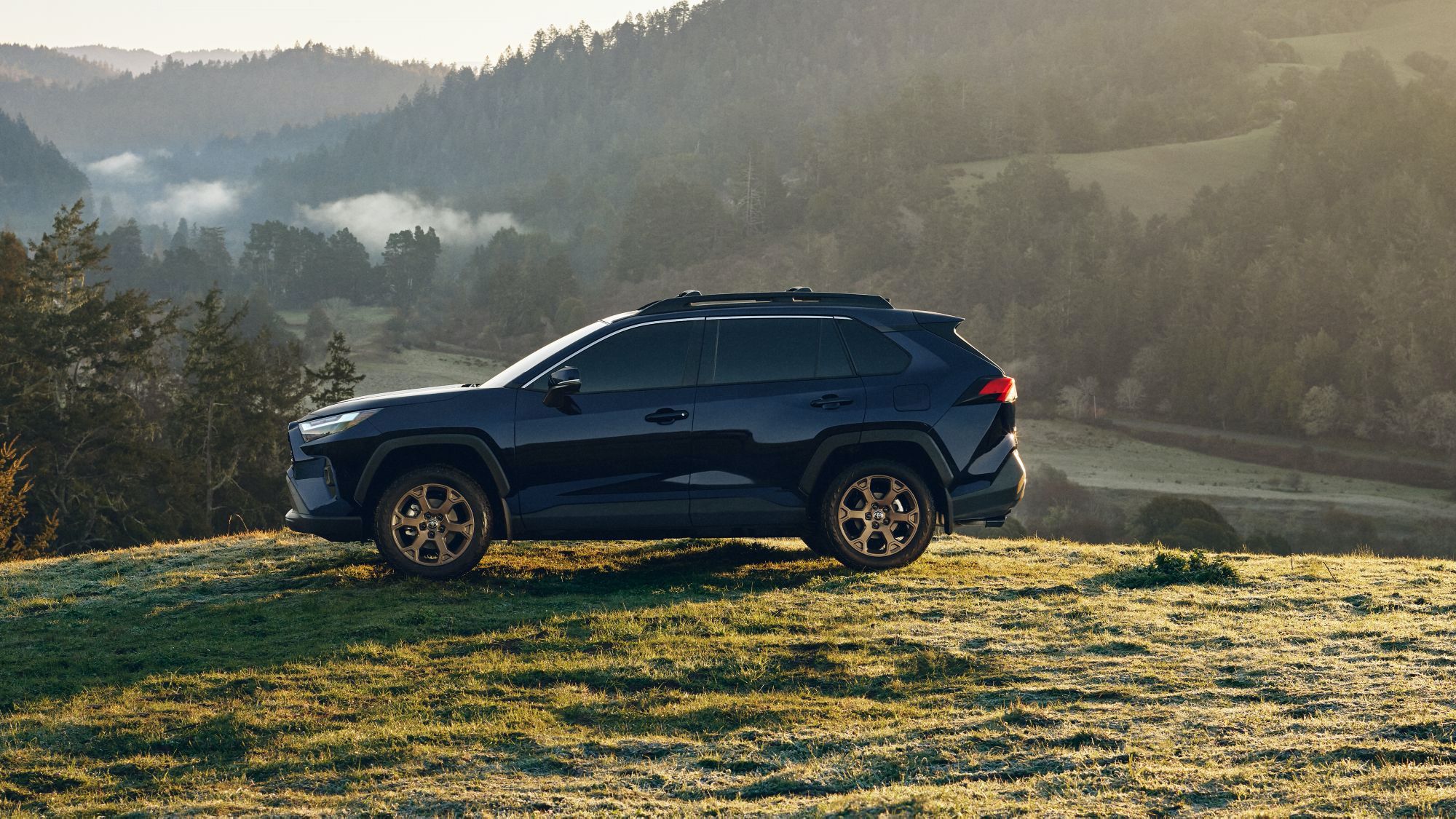 Are Hybrids Better for the Environment?