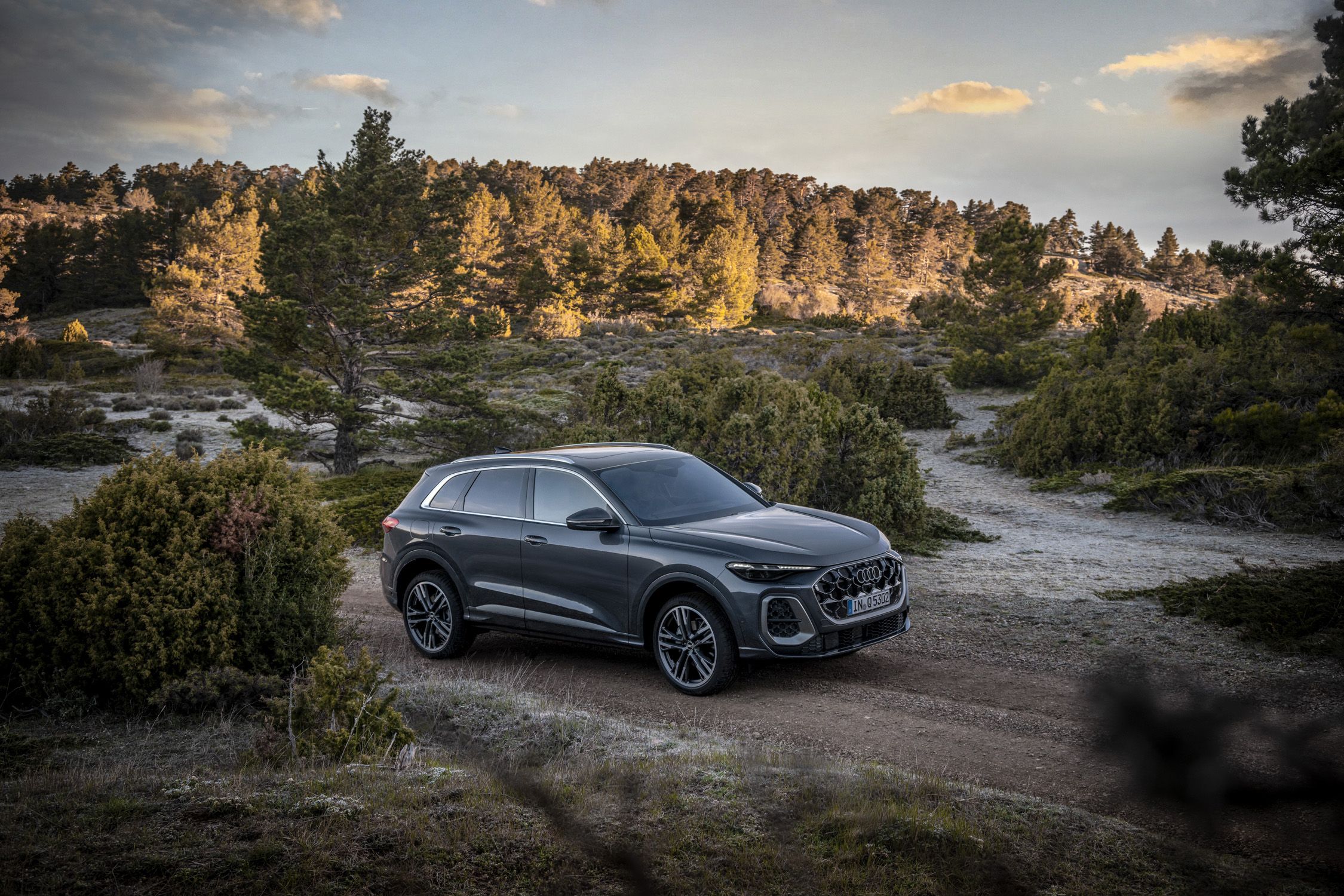 For 2025, Audi Gives Q5 and SQ5 a Fresh Face and Familiar Engines