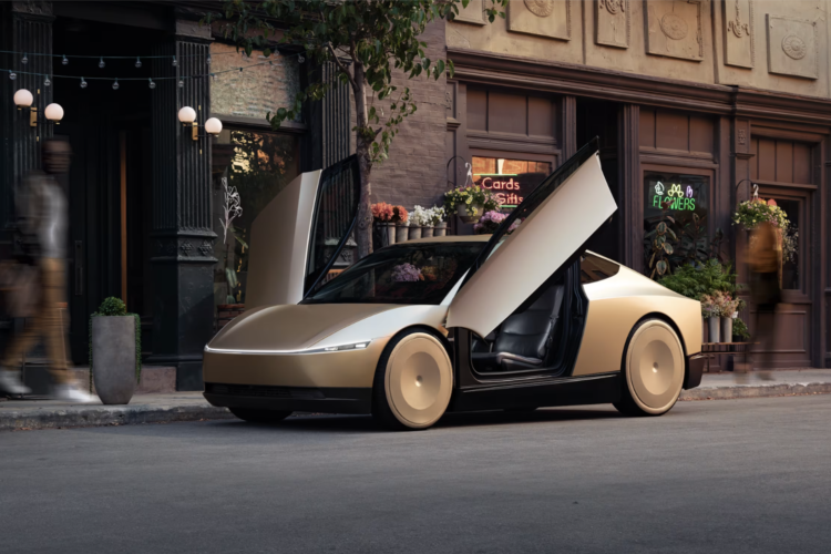 Tesla Robotaxi Is a Driverless Car That Will Cost Under $30,000