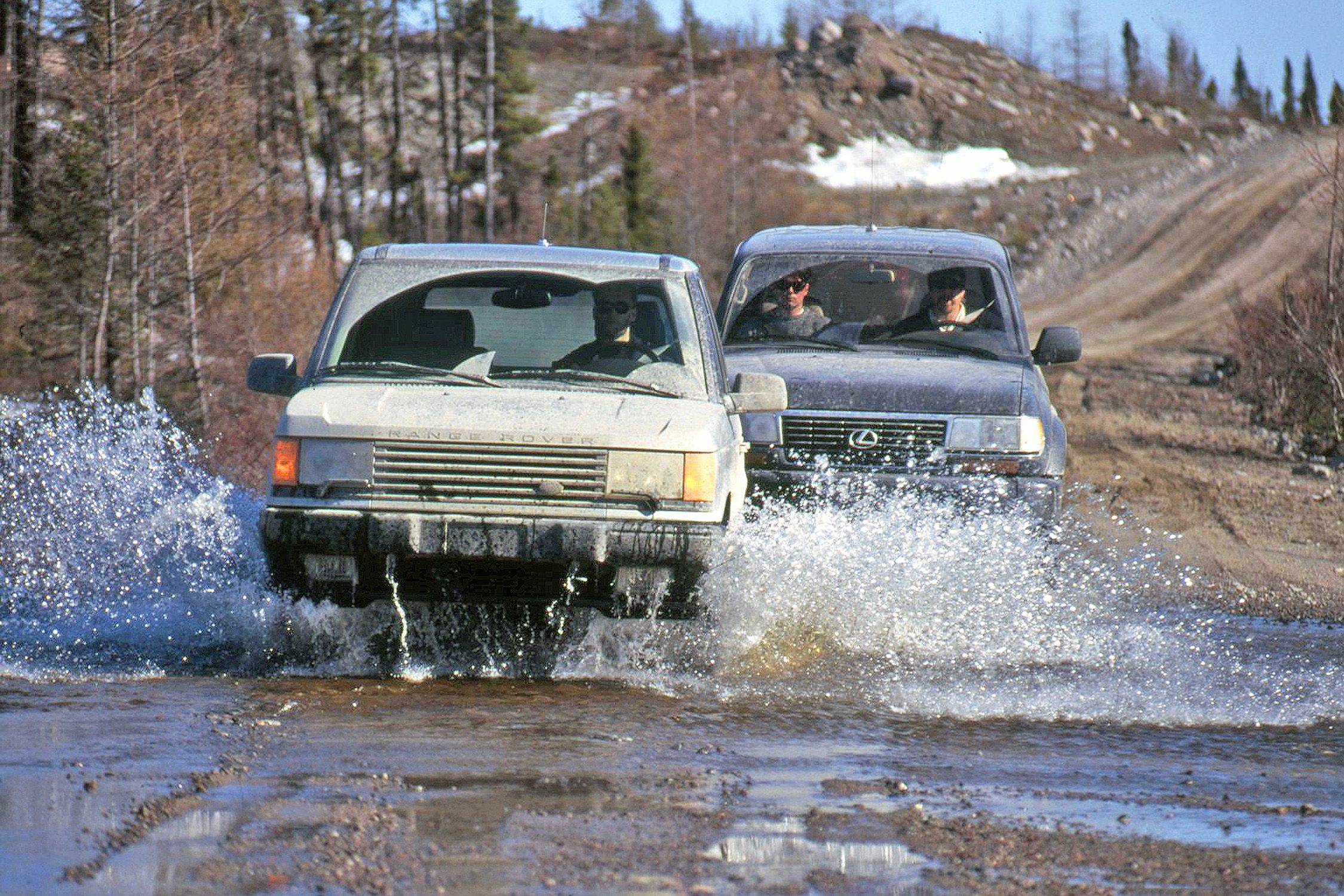 Labrador Retrievers: 1996 Lexus LX450 vs. 1996 Range Rover 4.0SE