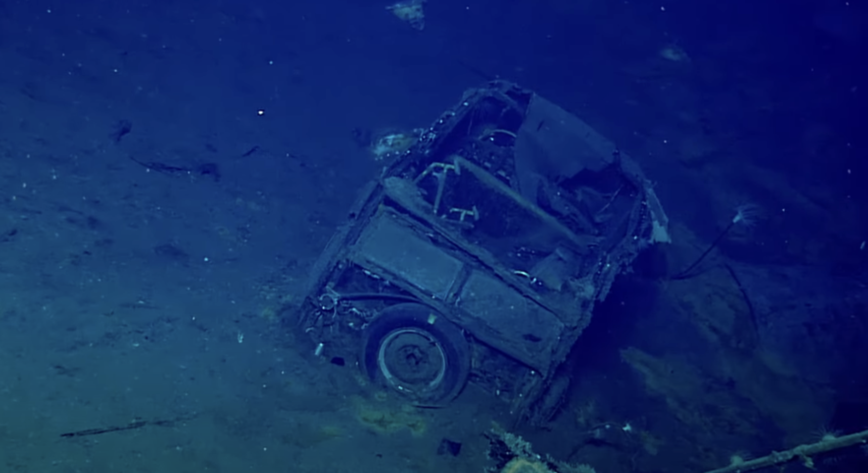 This Is the Strangest Resting Place for a World War II–Era Ford Woody Wagon