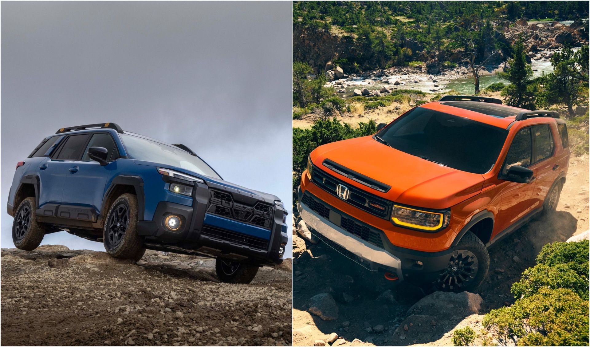 2026 Subaru Outback Wilderness vs. Honda Passport TrailSport: How They Compare