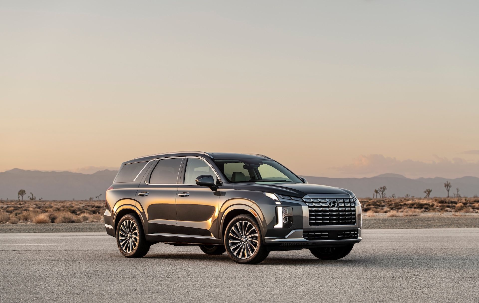 Hyundai Recalls a Handful of 2025 Palisade SUVs Due to Fire Risk