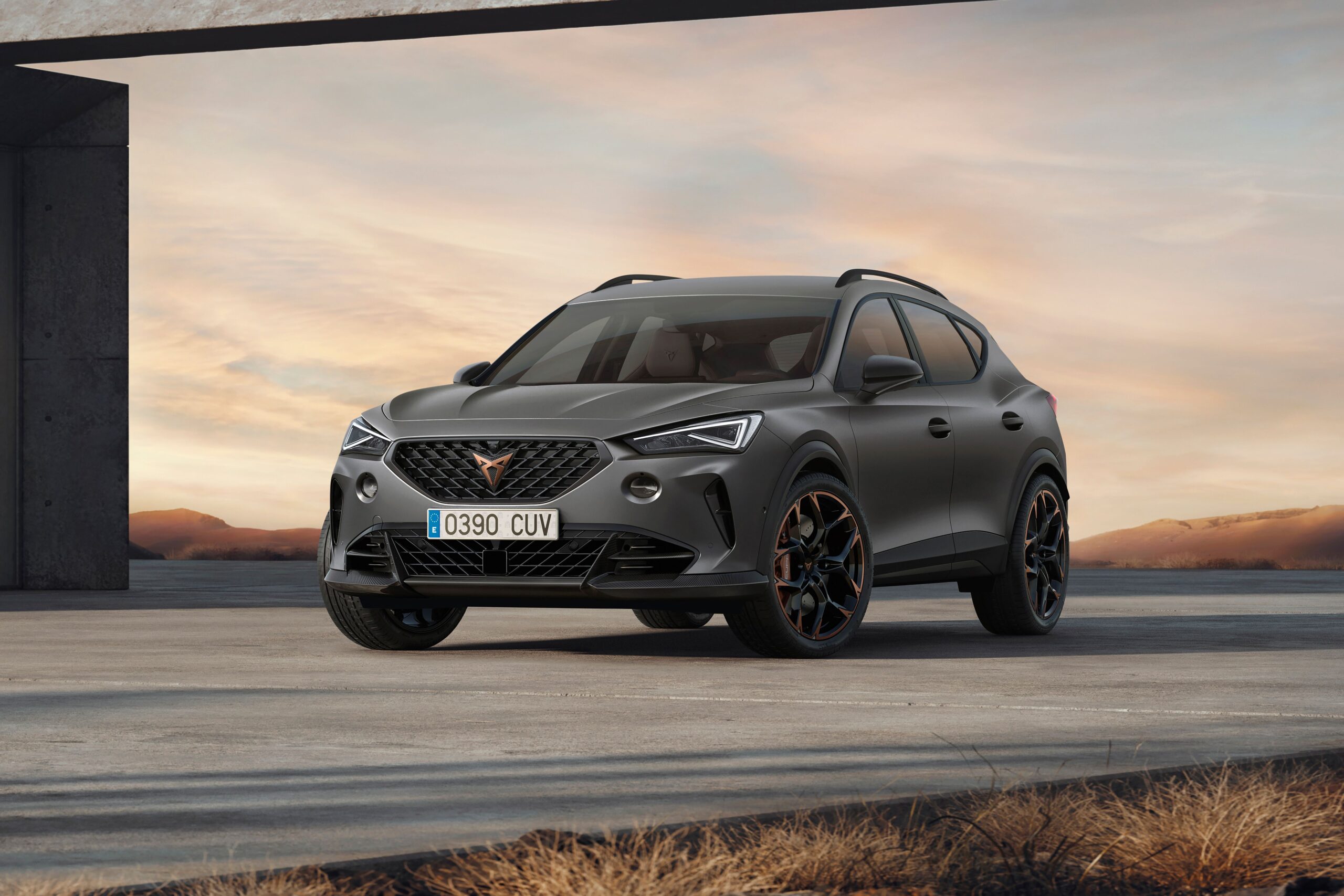 Cupra, a Spanish Performance Brand, Delays Plan to Sell EVs in U.S.