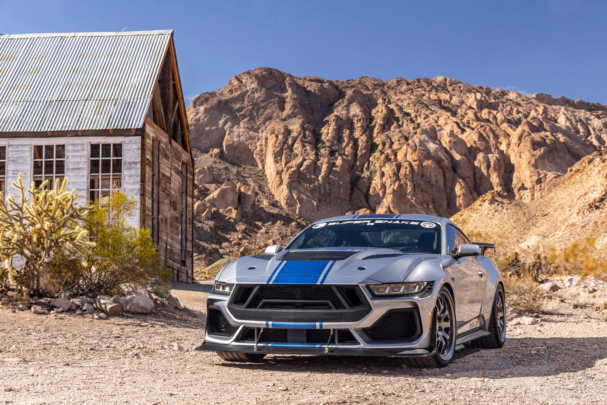 2026 Shelby Super Snake Overpowers the Mustang GTD for Half the Price