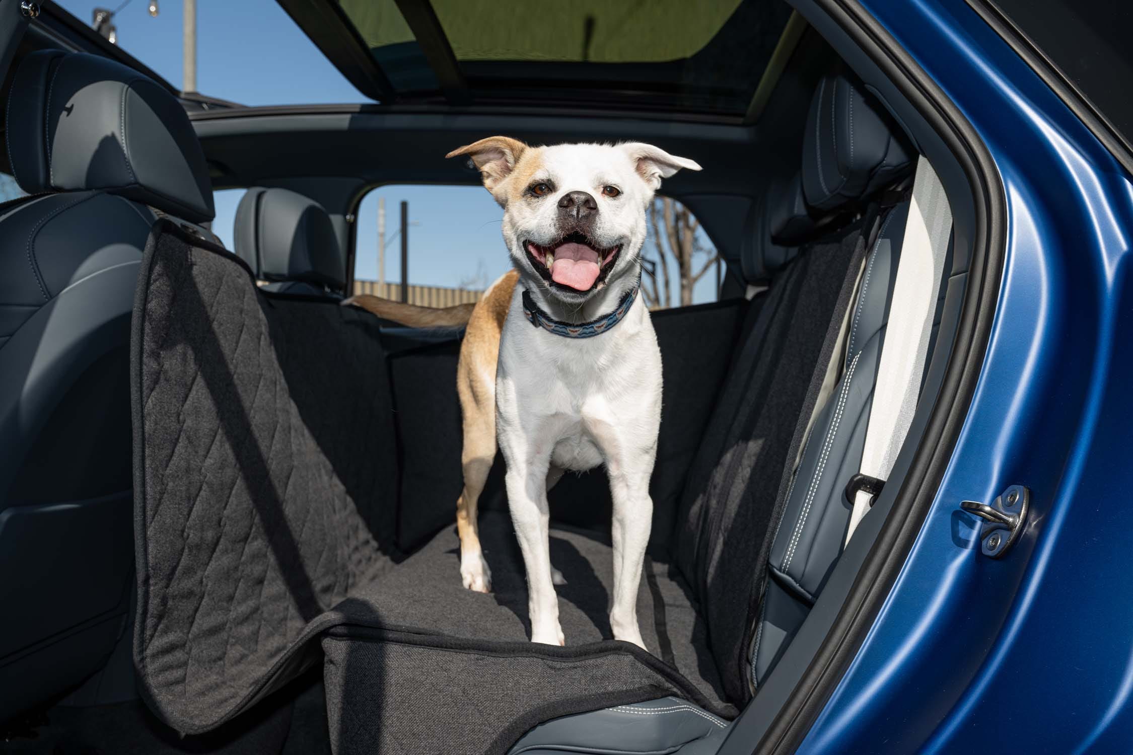 Bentley Makes It Easier and More Luxurious to Take Your Dog for a Ride