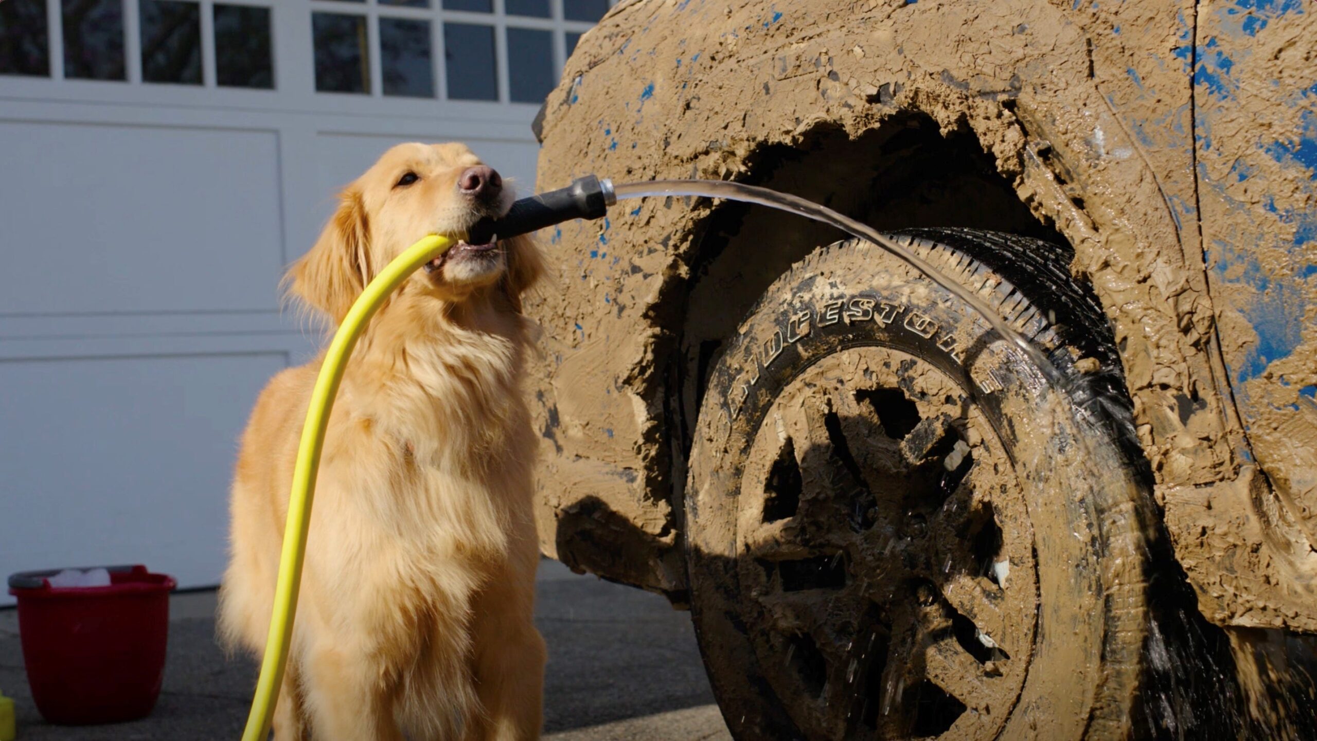 If Your Subaru SUV Has ‘Wilderness’ in the Name, We’re Pretty Sure You’ve Got a Dog