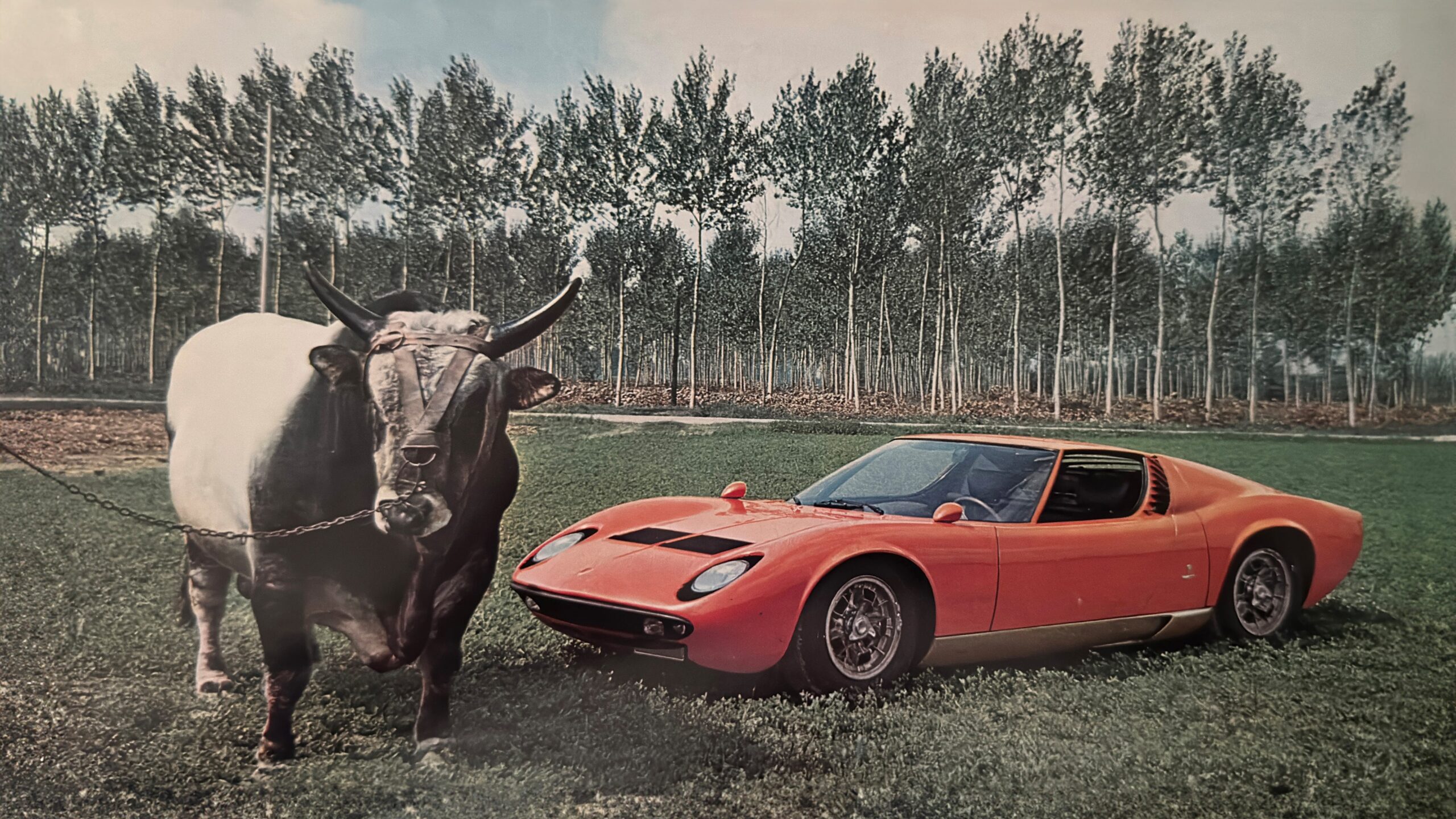 Lamborghini’s Big Books of Bulls